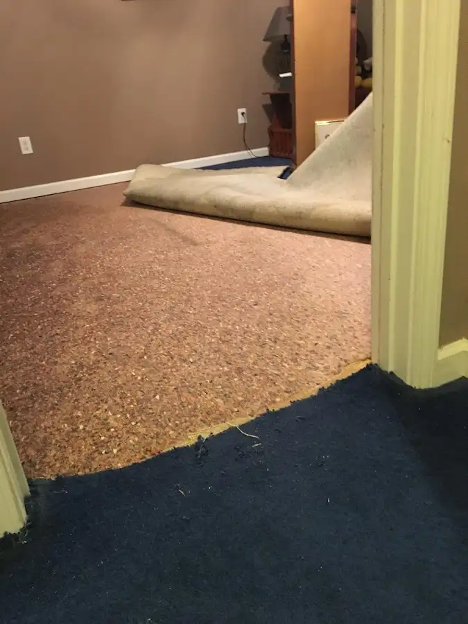 Carpet pad removal revealing water damage during Drying & Dehumidification in Visalia