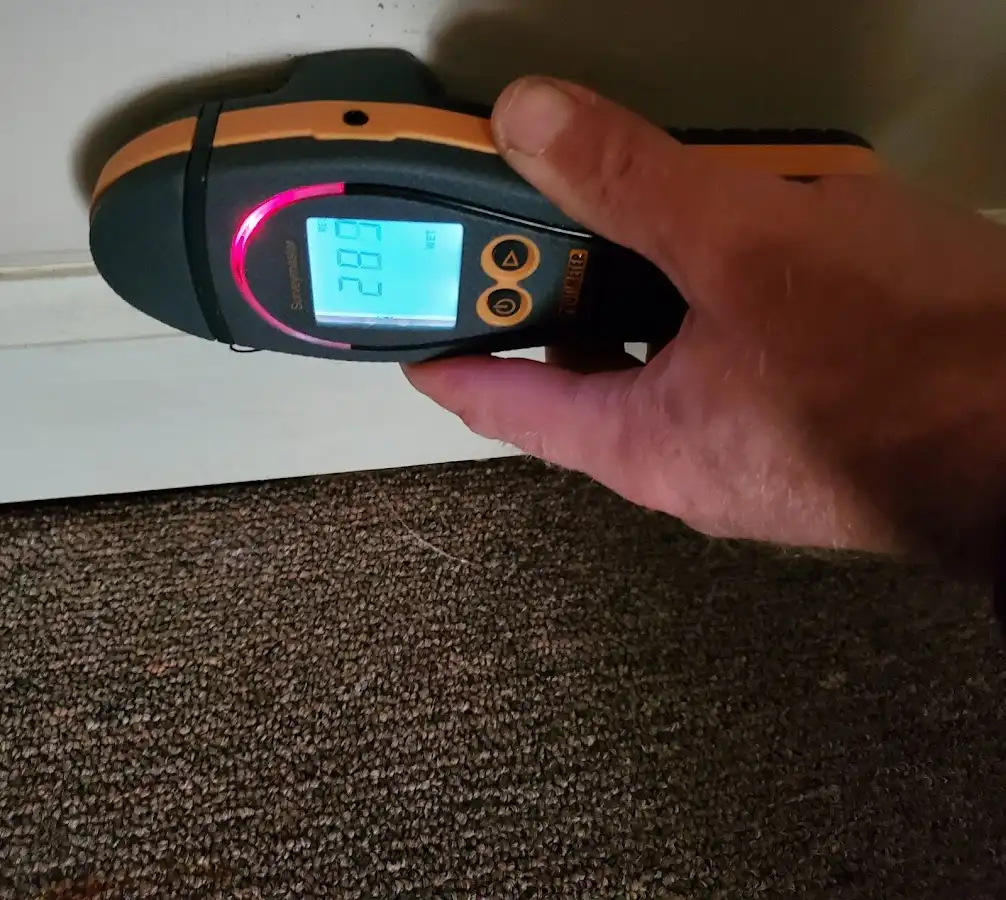 Moisture detection at baseboard during Sewage Cleanup & Sanitation in Visalia